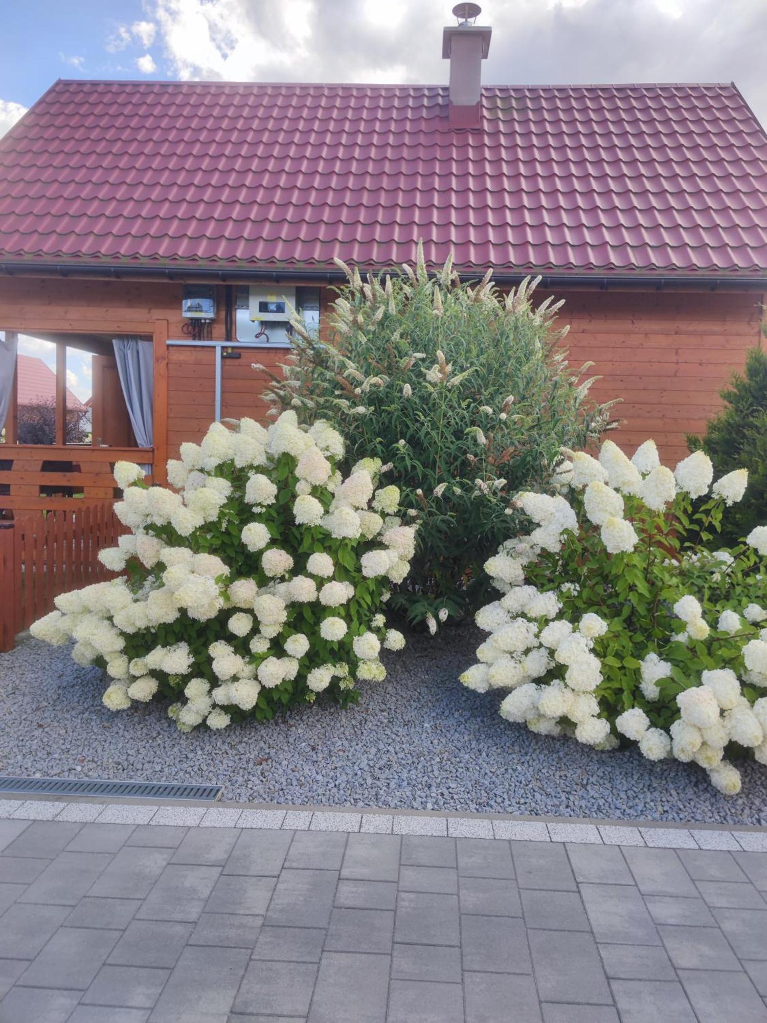 Miodowa Sadyba Domki Caloroczne Kluczbork Ligota Zamecka Exterior foto